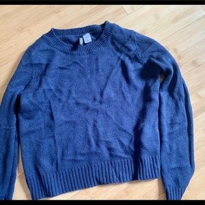NWOT H&M divided navy sweater